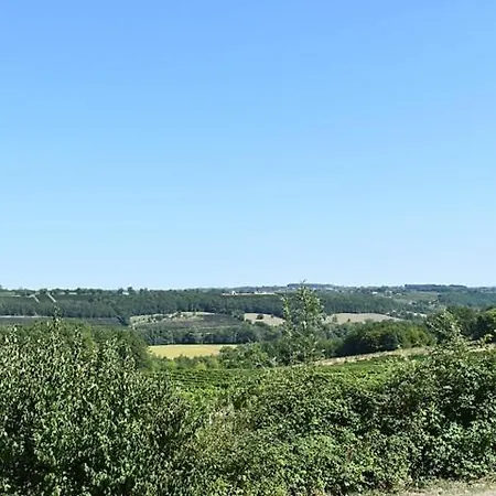 Au Coeur Des Vignes Gageac-et-Rouillac